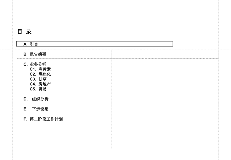 某集团公司发展定位与组织结构报告_第2页