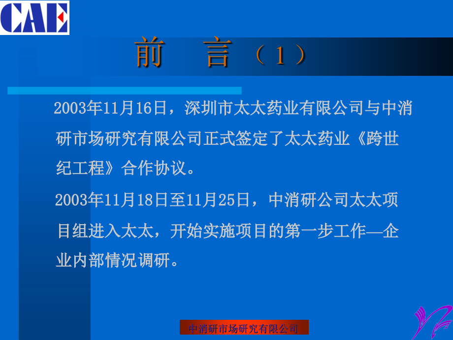 深圳市太太药业公司企业诊断报告书1_第4页