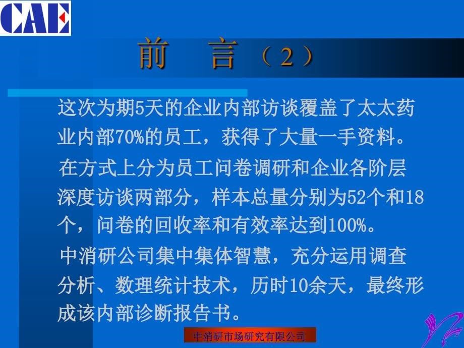 深圳市太太药业公司企业诊断报告书1_第5页