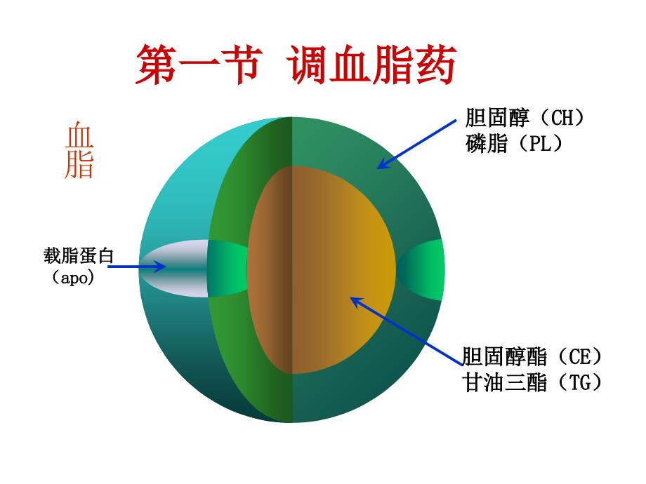 第28章-调血脂药与抗动脉粥样硬化药_第3页