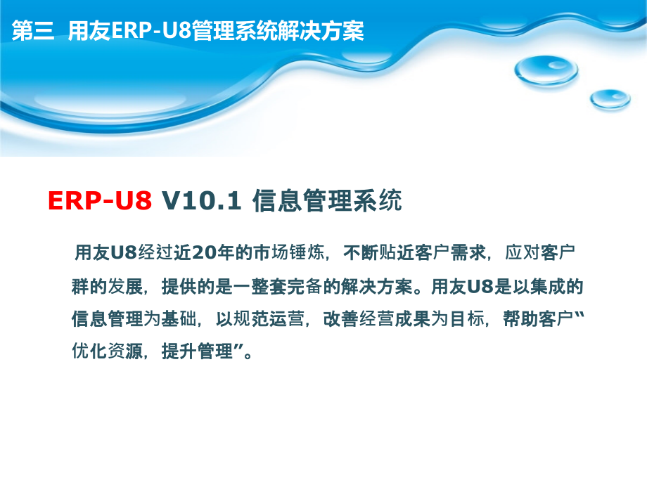 用友erp-u8管理系统解决方案_第4页