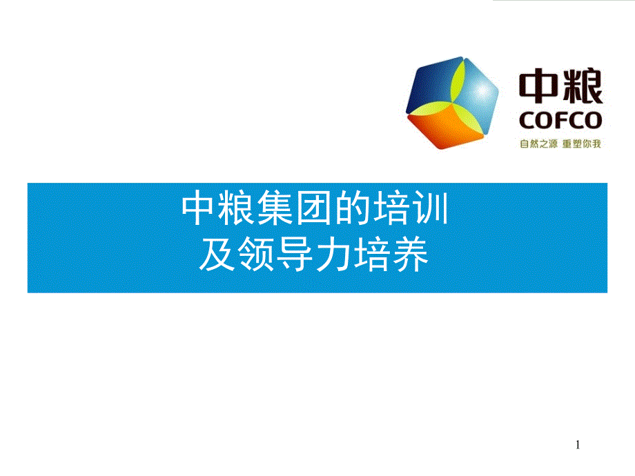 某集团的培训及领导力培养教材_第1页