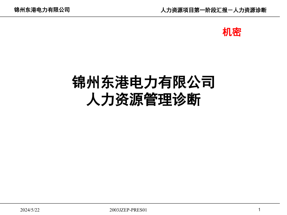 某电力有限公司人力资源管理诊断报告_第1页