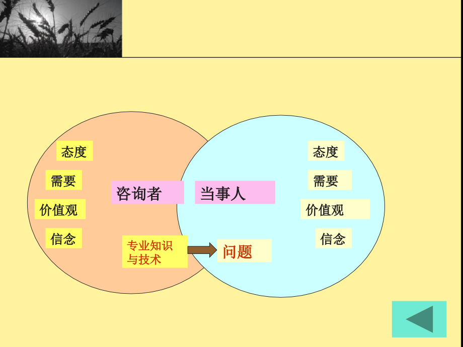 心理咨询过程与会谈技术讲义_第4页