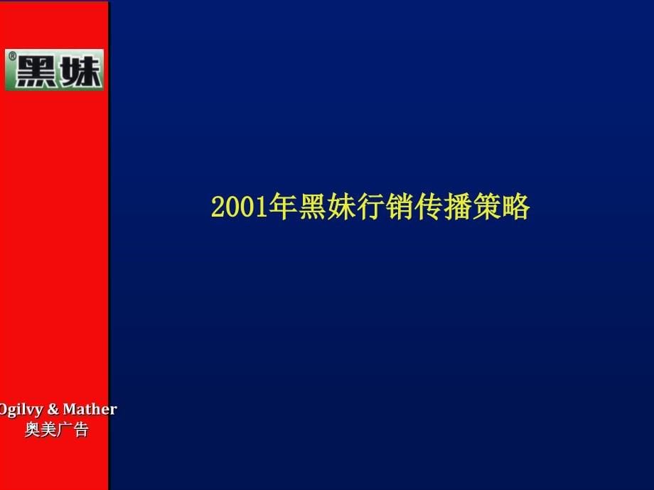 黑妹品牌传播活动建议案_第5页