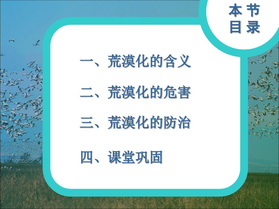 荒漠化的危害与治理培训课件_第2页