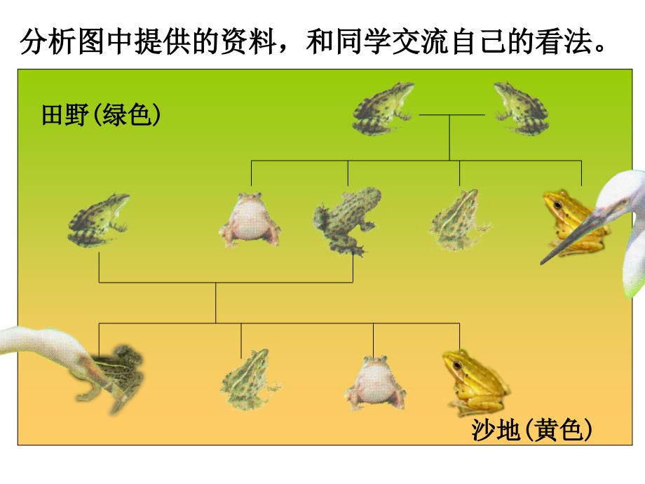 4.7谁选择了它们资料_第4页