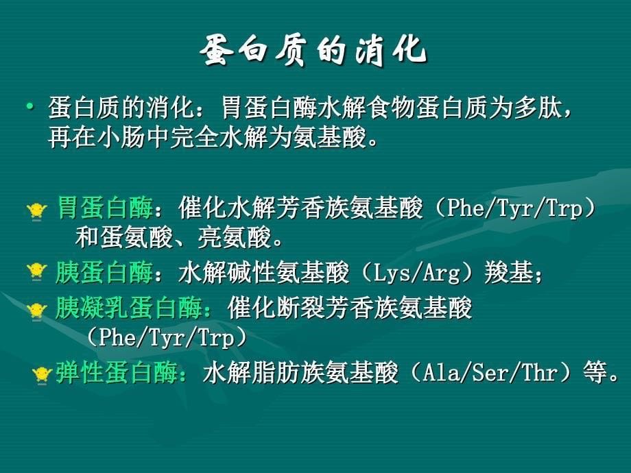 蛋白质降解和氨基酸的分解代谢本_第5页