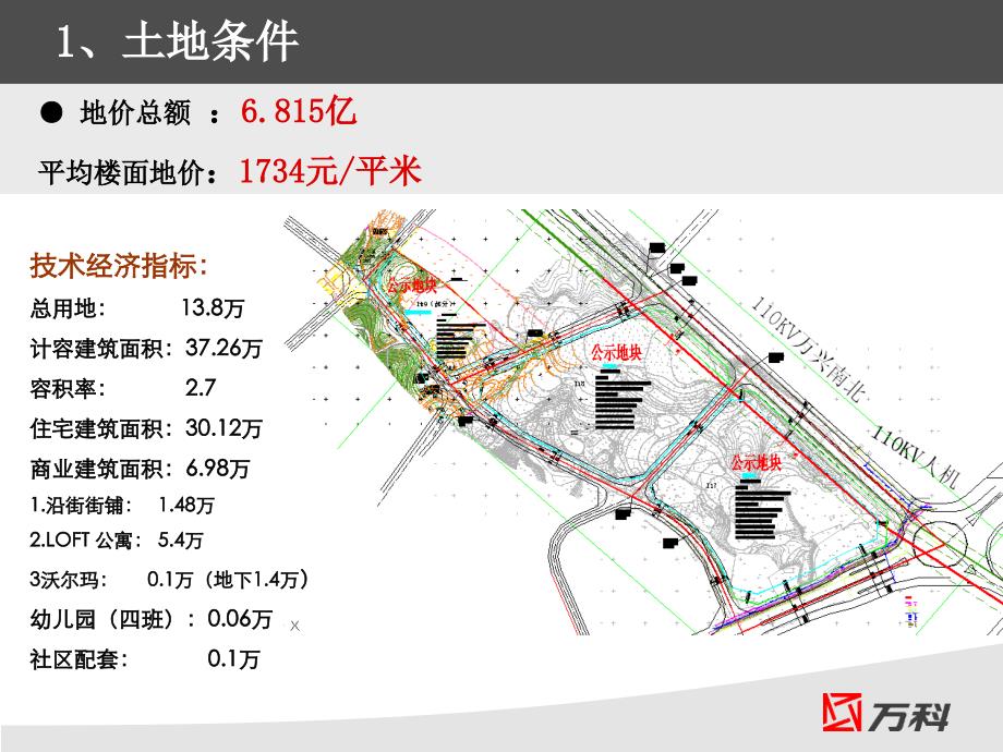 重庆棕榈泉项目汇报_第3页