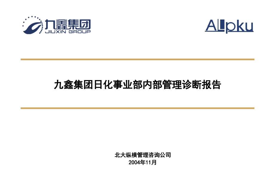 某集团日化事业部内部管理诊断报告_第1页