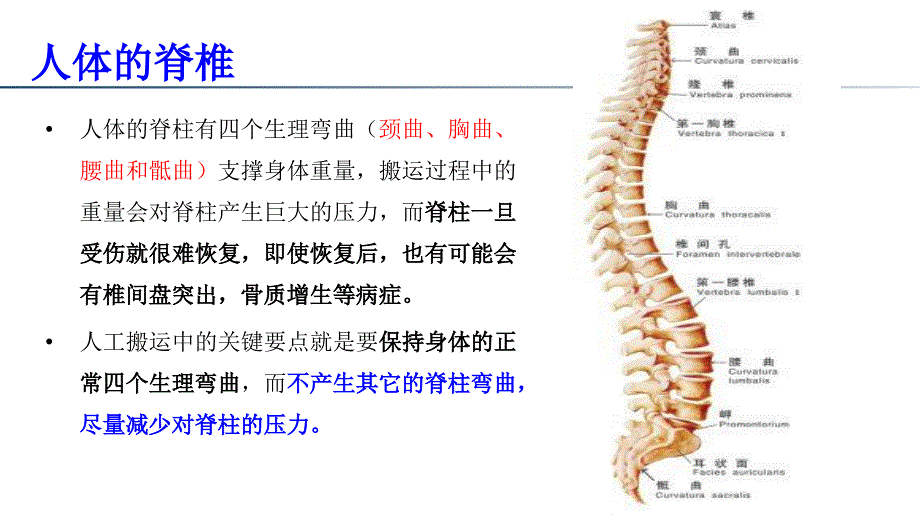 搬运作业中的安全教材_第4页