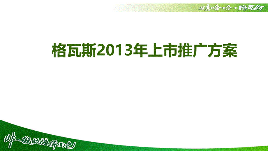 某饮料格瓦斯上市推广_第1页