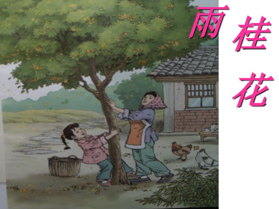 四年级上册语文课件-12 桂花雨｜苏教版 (共15张PPT) (2)_第1页