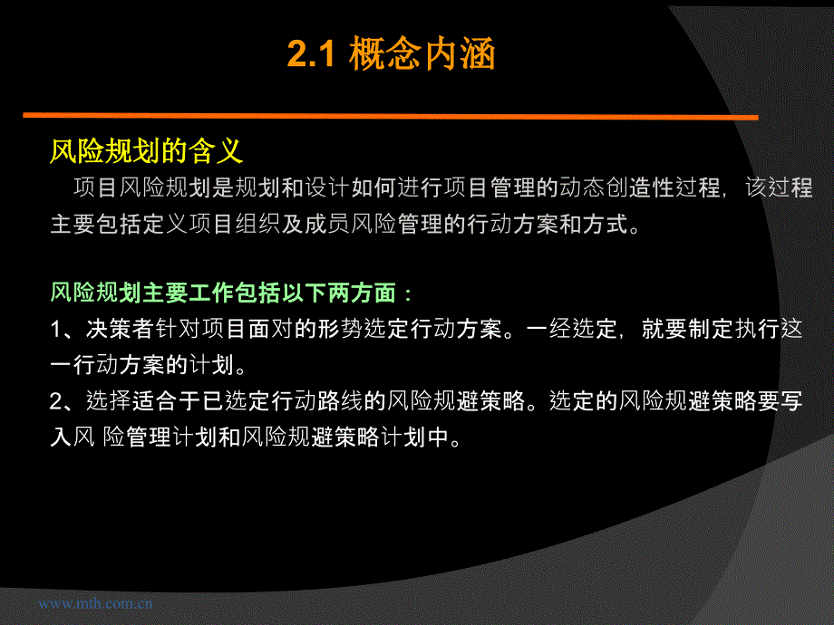 项目风险管理规划课件_第2页