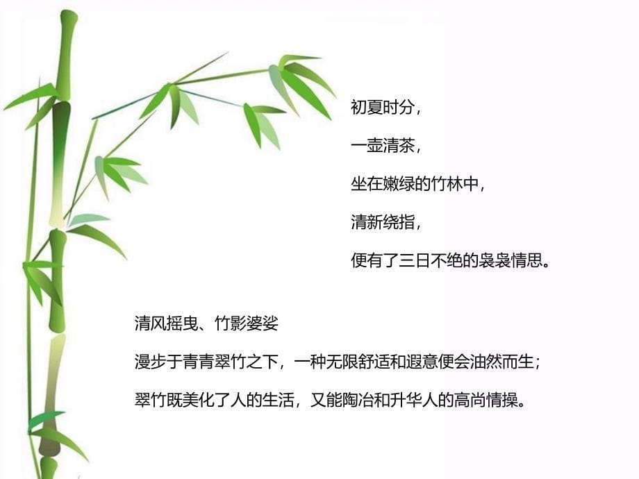 蜀南竹海-西安展会策划案_第5页