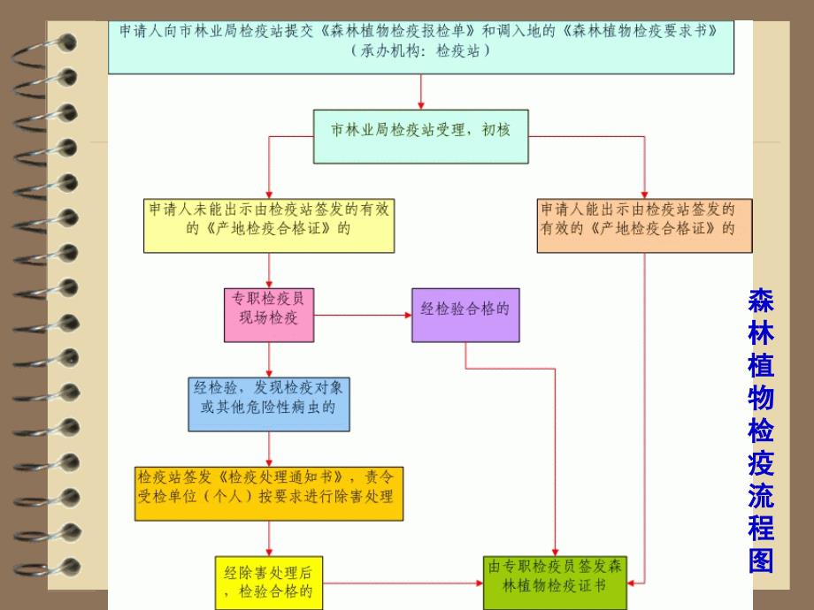 森林植物检疫程序课件_第3页