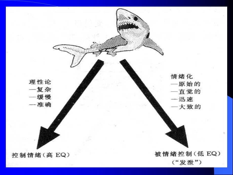 提高eq情商的自我训练_第4页