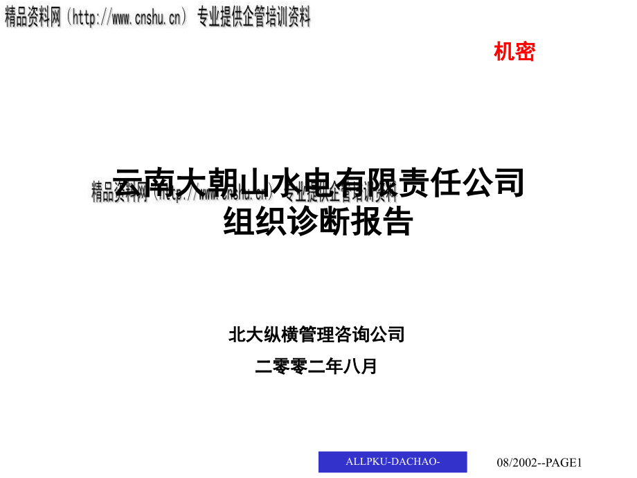 某水电公司组织诊断报告分析_第1页