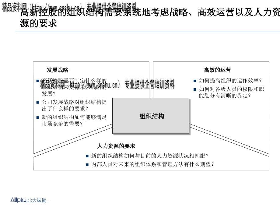 济南某集团组织结构设计报告_第5页