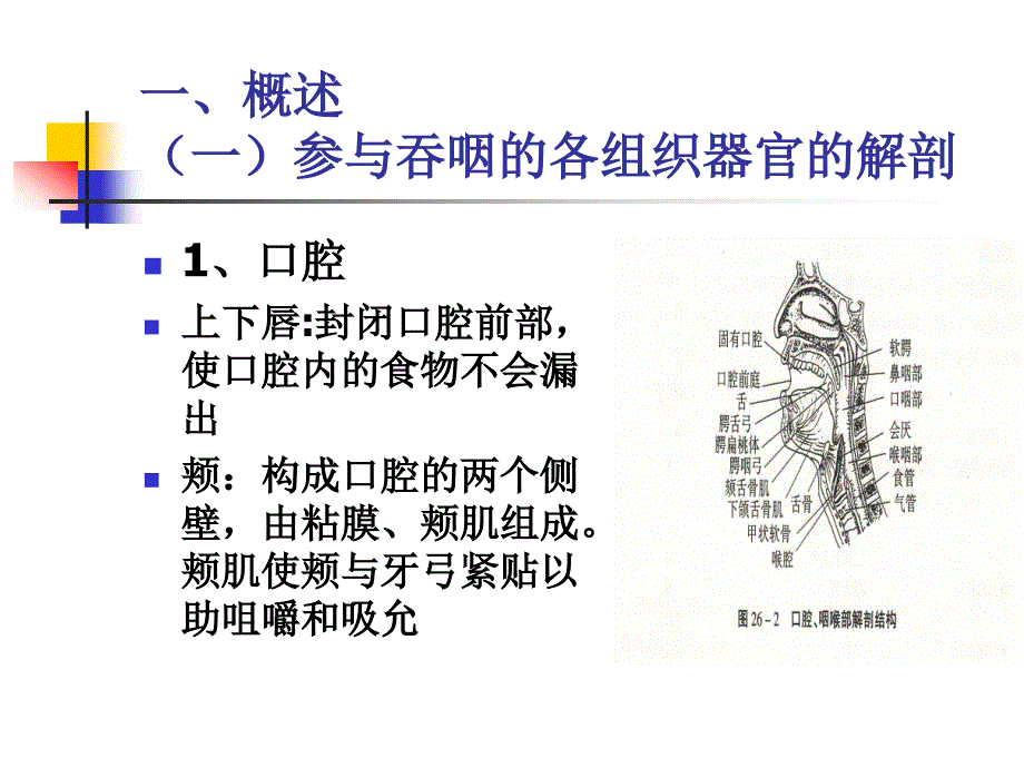 吞咽功能障碍的评定要点_第4页