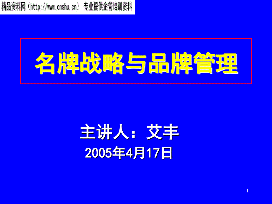 名牌战略与品牌管理研究报告_第1页