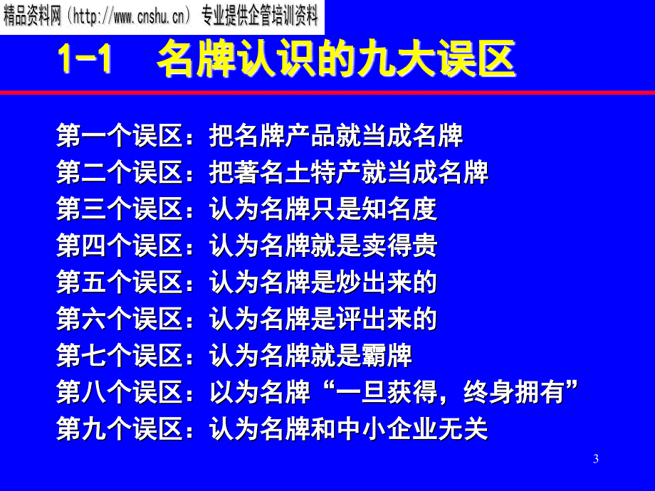 名牌战略与品牌管理研究报告_第3页