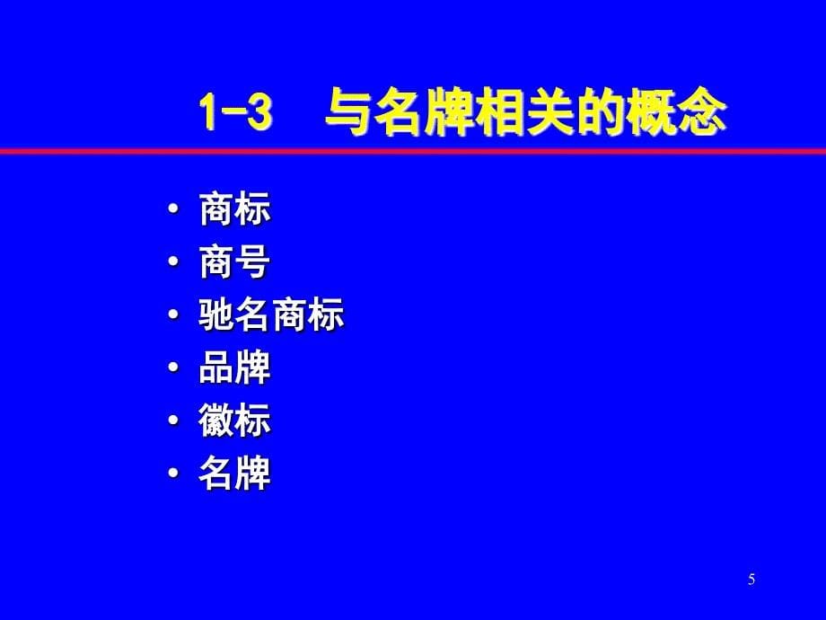 名牌战略与品牌管理研究报告_第5页