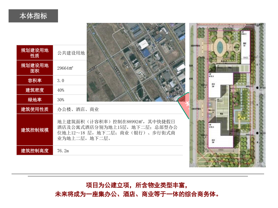 国际中心项目场研究及定位_第3页