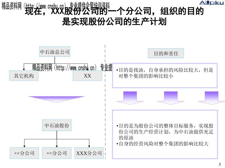 现代企业组织结构诊断报告_第5页