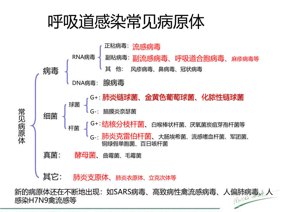 呼吸道病原体检测在临床中的应用_第4页