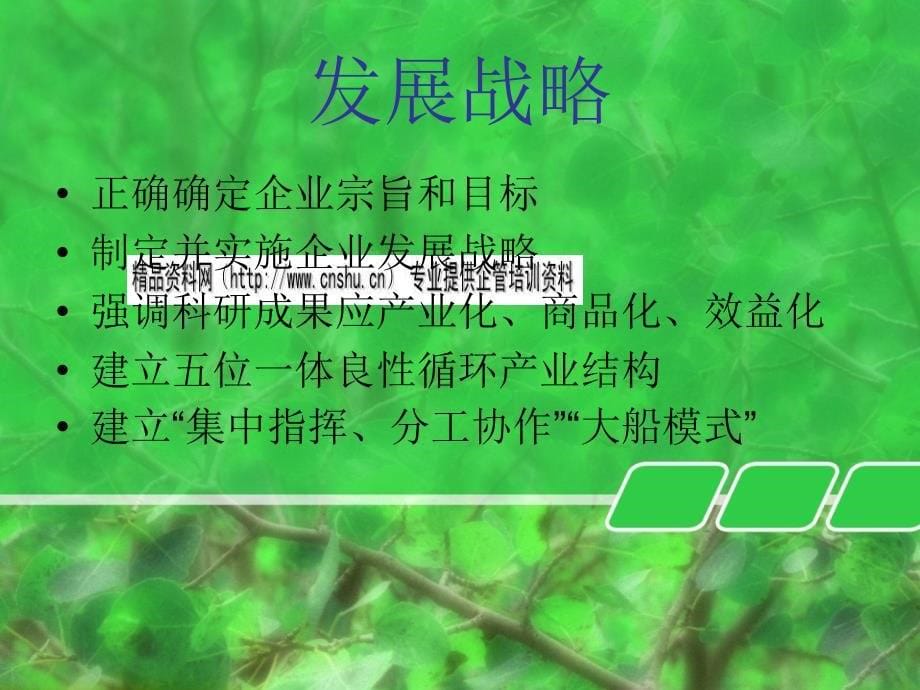 试谈联想集团的战略_第5页