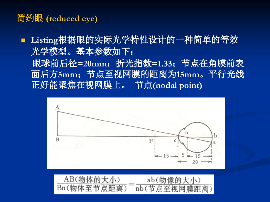 3神经生物学-第三篇-2013_第4页