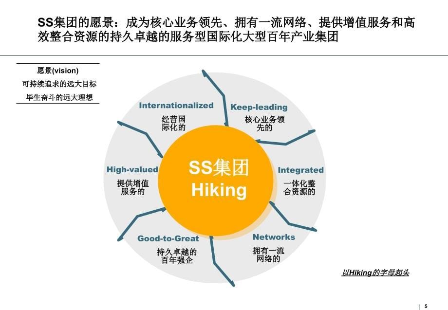 某集团战略规划咨询报告_第5页