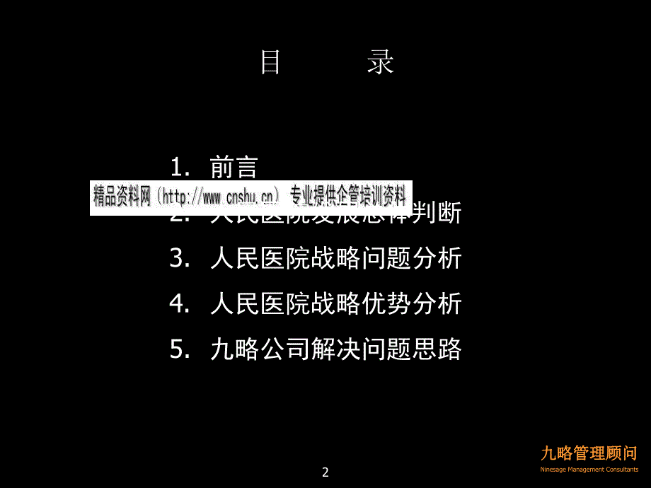 中山市人民医院发展战略诊断报告范本_第2页