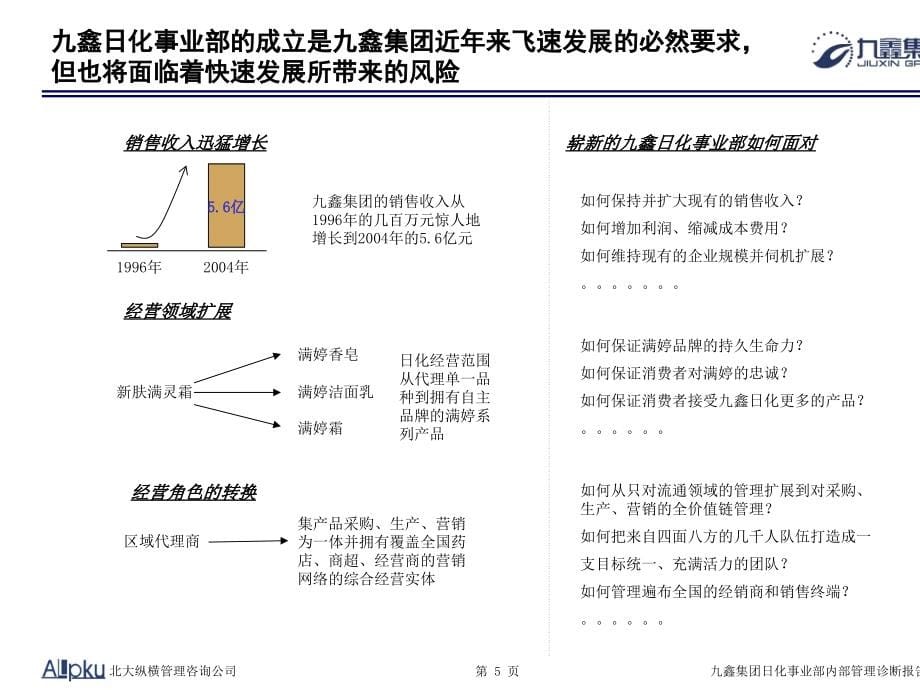 某日化集团事业部内部管理诊断报告_第5页