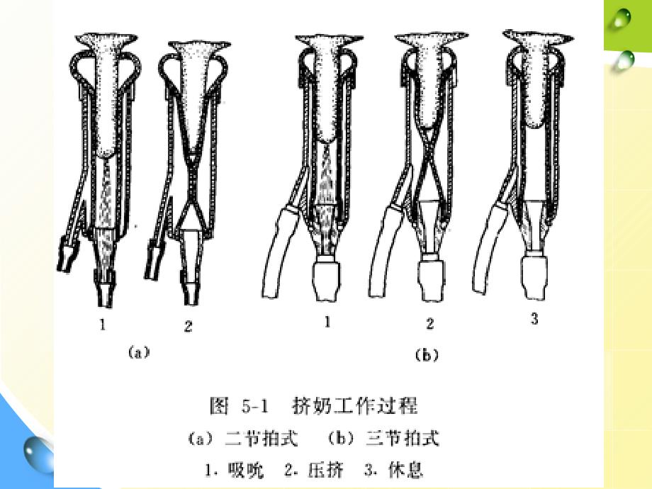 畜产品采集和初加工设备_第4页