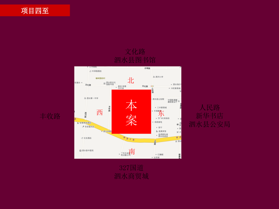 某地区项目管理及生态管理知识分析报告_第4页