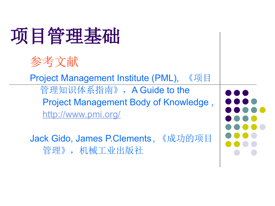 企业项目管理基础知识讲义_第2页