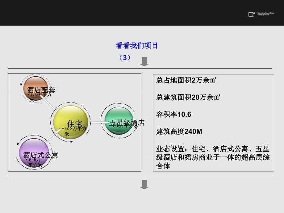 卓越之城年度推广策划执行方案_第5页