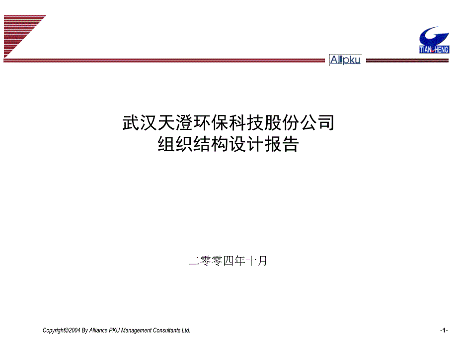 某环保科技股份公司组织结构设计报告_第1页