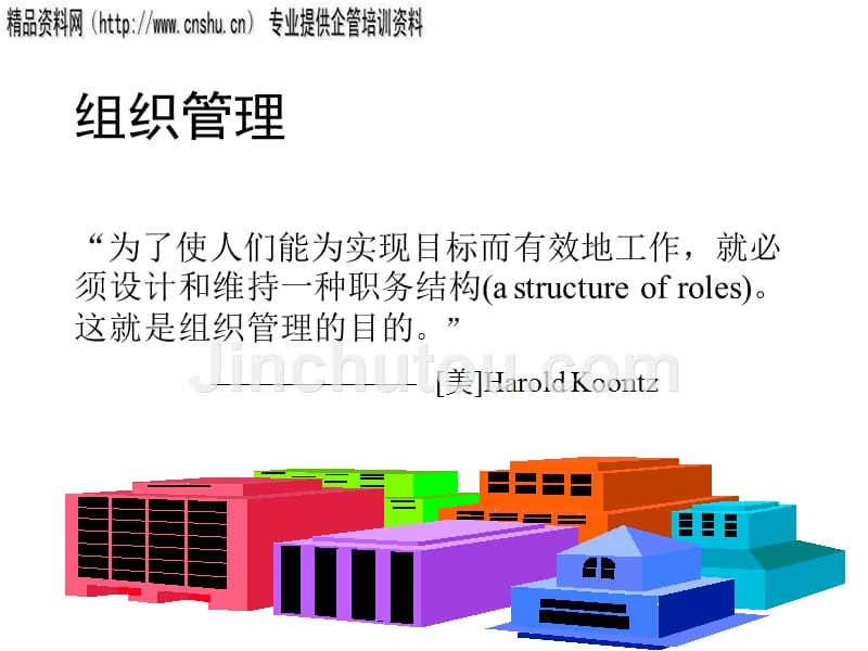 项目组织与项目团队全面概述_第5页