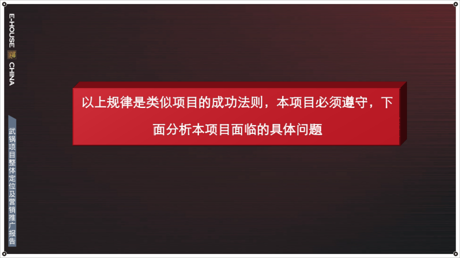 企业项目开发整体定位分析_第4页