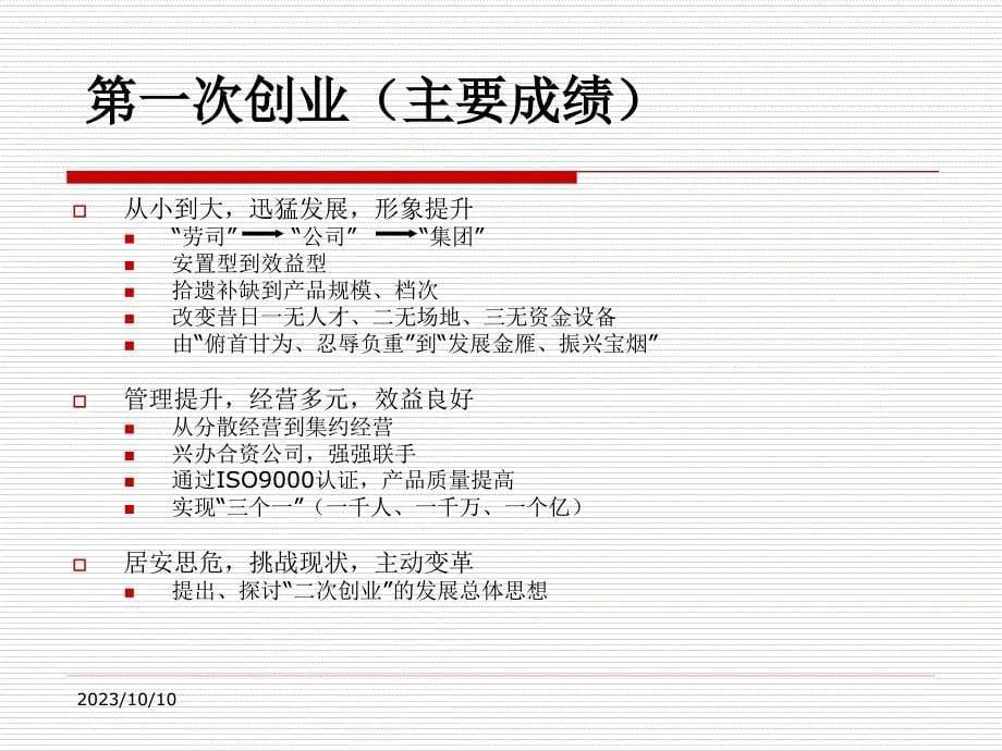 某大型集团诊断报告_第5页