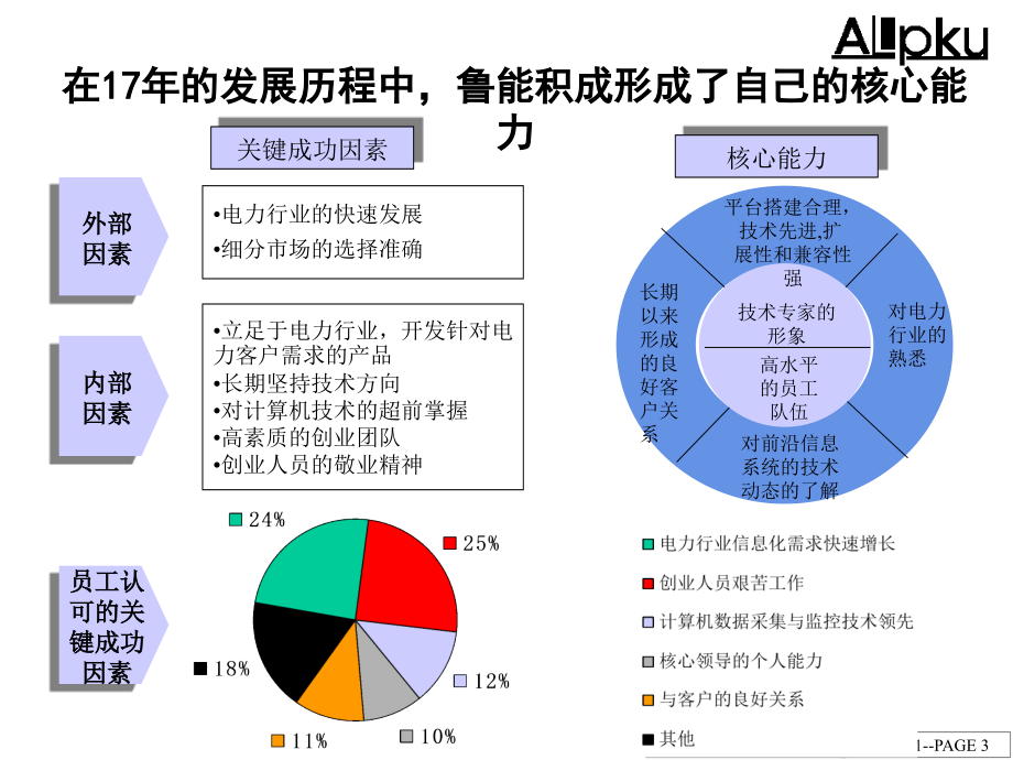 某电子股份有限公司内部管理诊断报告1_第3页