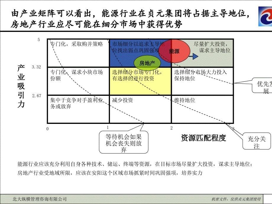 贞元集团业务优先级分析及战略规划报告_第5页
