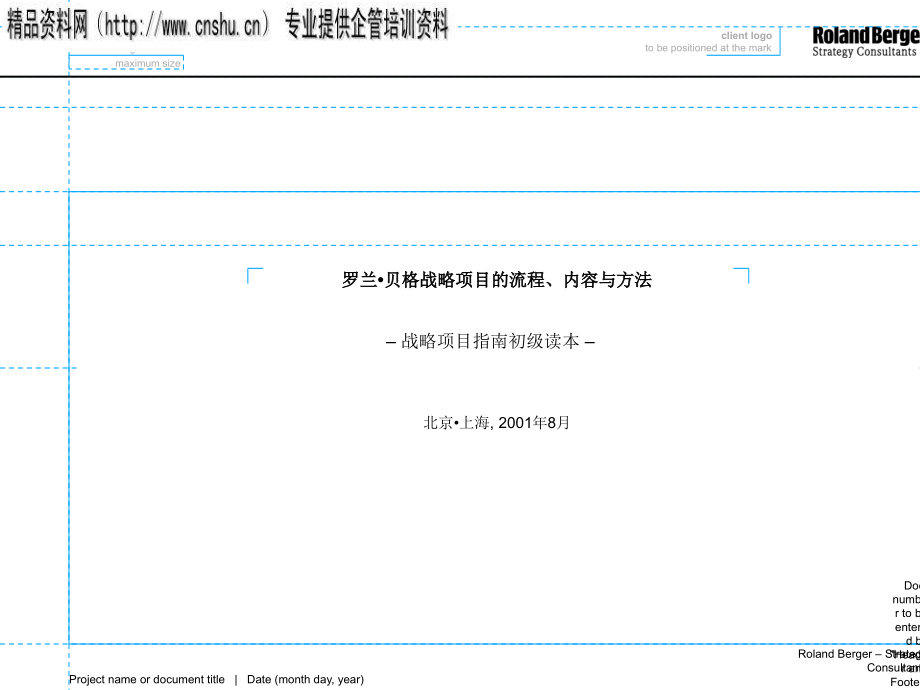 罗兰8226;贝格战略项目的准备与实施_第1页