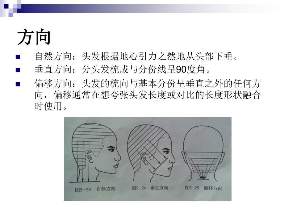 剪发基本概念-角度、方向、三线及实操资料_第4页