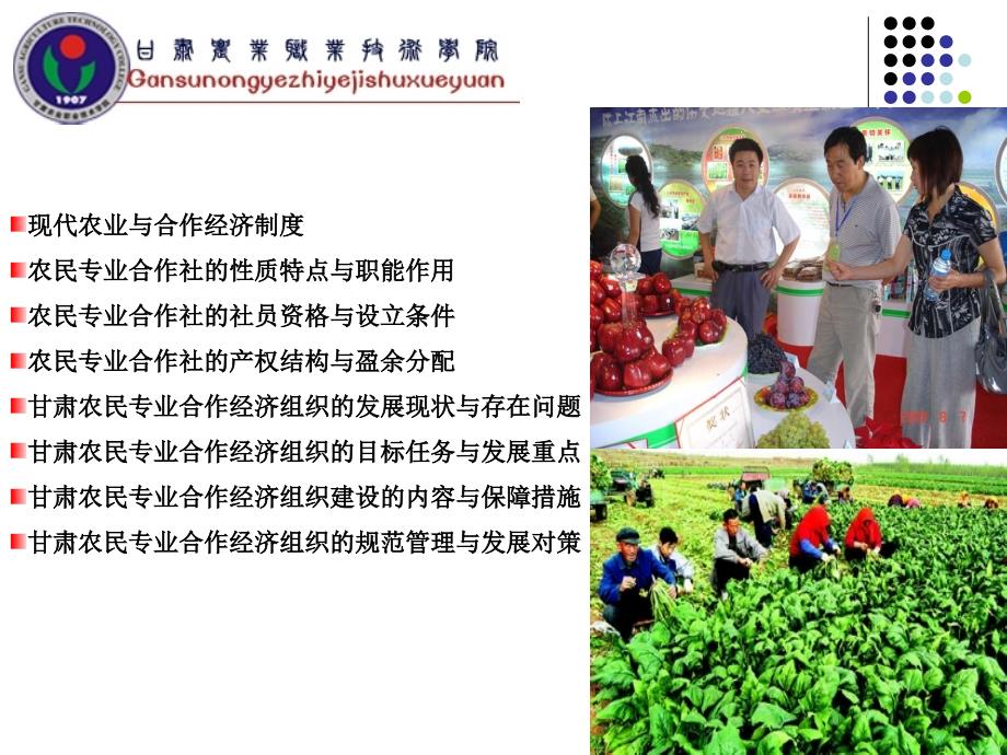 农民专业合作经济组织专题课件_第2页