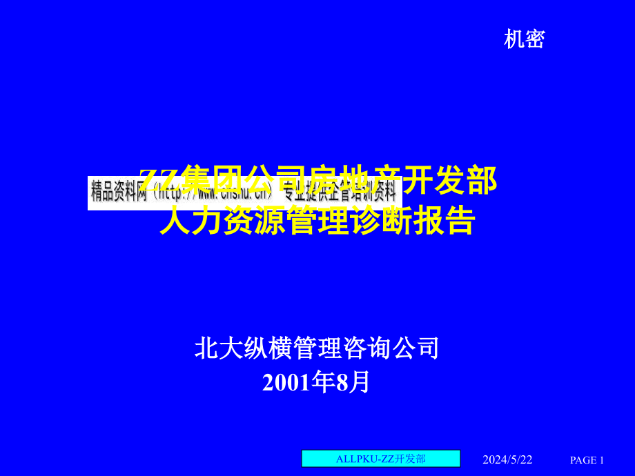 某地产公司人力资源管理诊断报告1_第1页