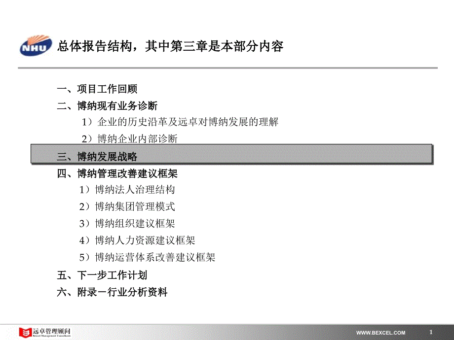 某公司保健品战略建议方案_第2页